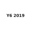 Y6 2019