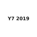 Y7 2019