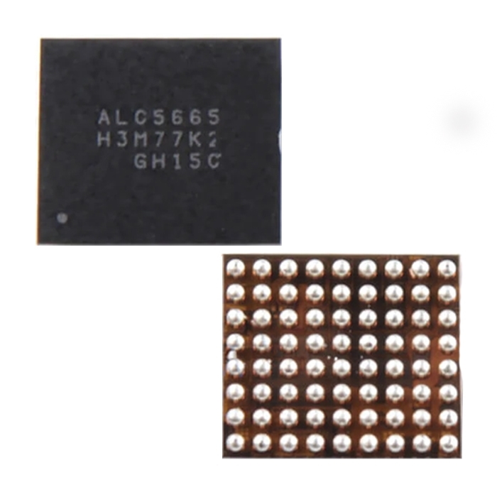 chip Audio IC (ALC5665)