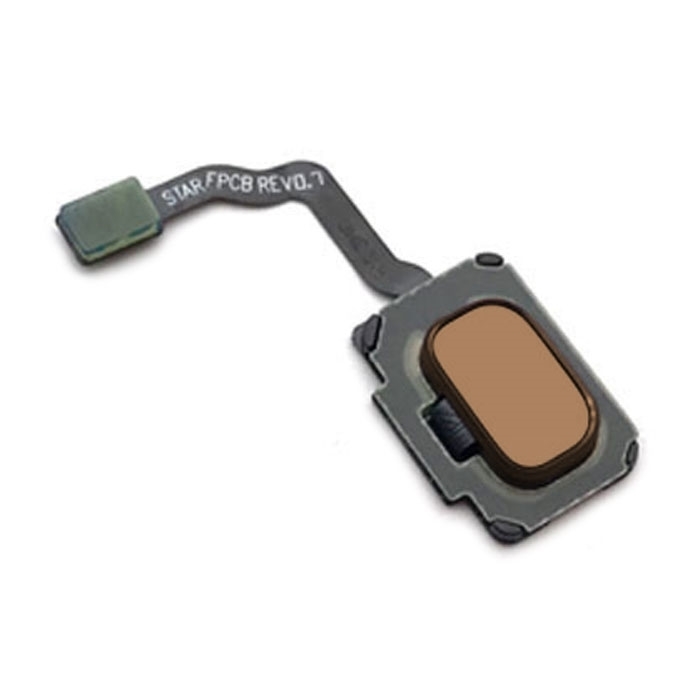 Fingerprint Flex for Samsung Galaxy S9 G960 / S9 Plus  G965 - Color: Gold