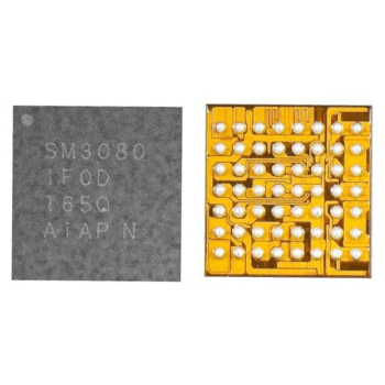 Display IC  (SM3080)